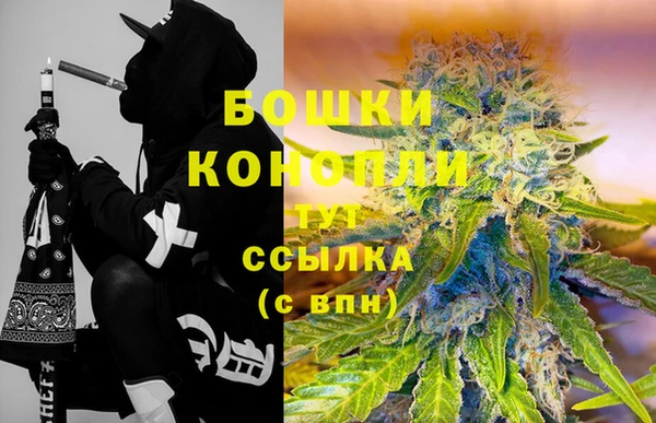 крисы Майский