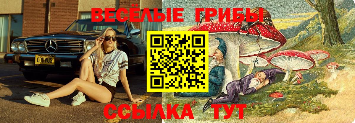 МДМА  NBOMe  Кетамин  A PVP СК   Меф кристаллы  Кокаин  Белебей  Марихуана  Конопля  ГАШ 