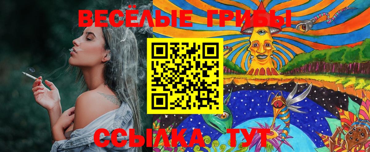 Белебей  Галлюциногенные грибы Psilocybine cubensis  где продают   Вход с VPN  Псилоцибиновые грибы Magic Shrooms 