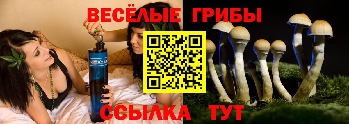 Галлюциногенные грибы Psilocybe Белебей